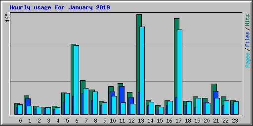 Hourly usage for January 2019